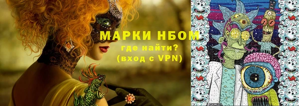 ПСИЛОЦИБИНОВЫЕ ГРИБЫ Алексин