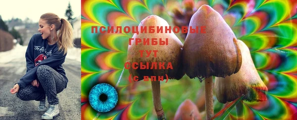 мескалин Белая Холуница